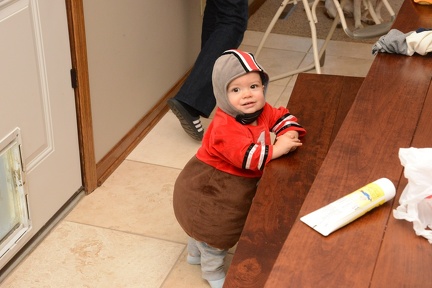 JB our little Buckeye1